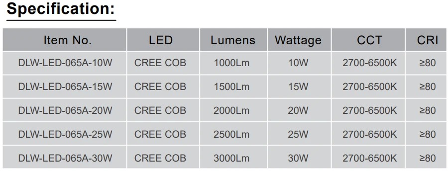 DLW-LED-065A SPEC